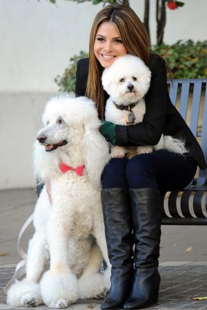 Maria Menounos candids at The Grove in LA