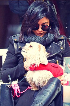 Vanessa Hudgens shopping in NYC