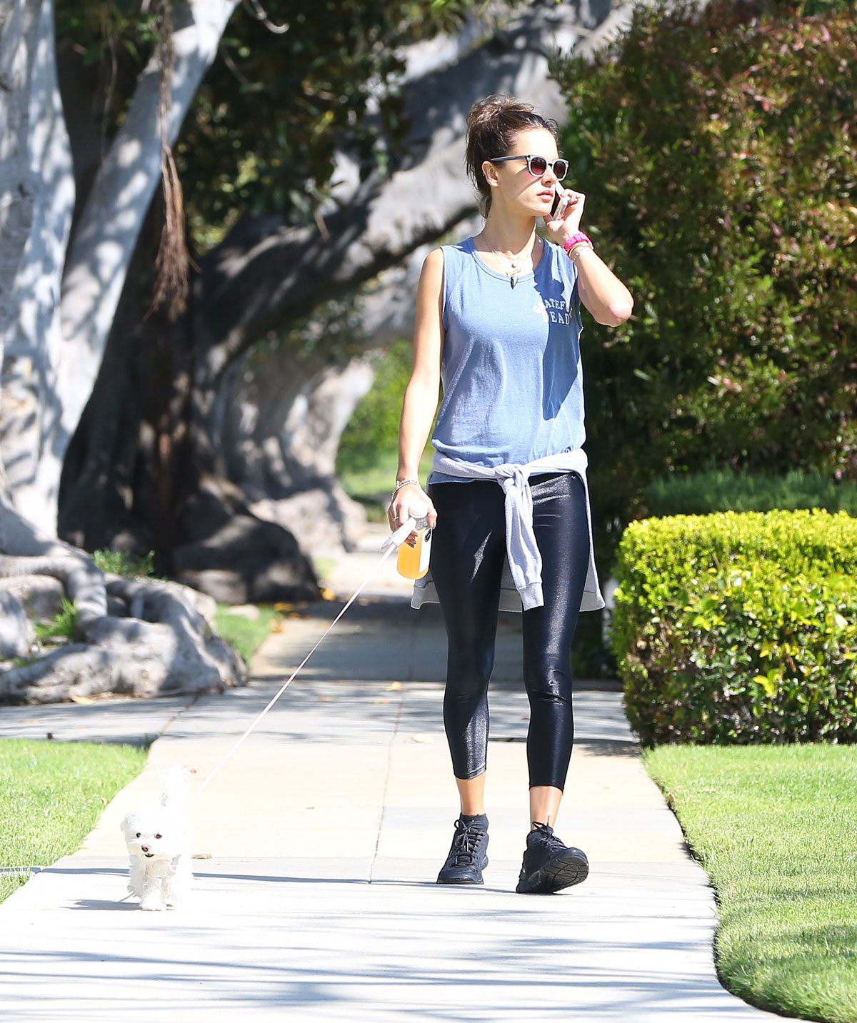 Alessandra Ambrosio walks her dog