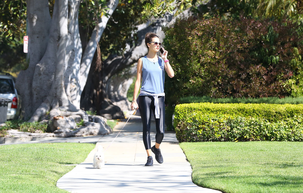 Alessandra Ambrosio walks her dog