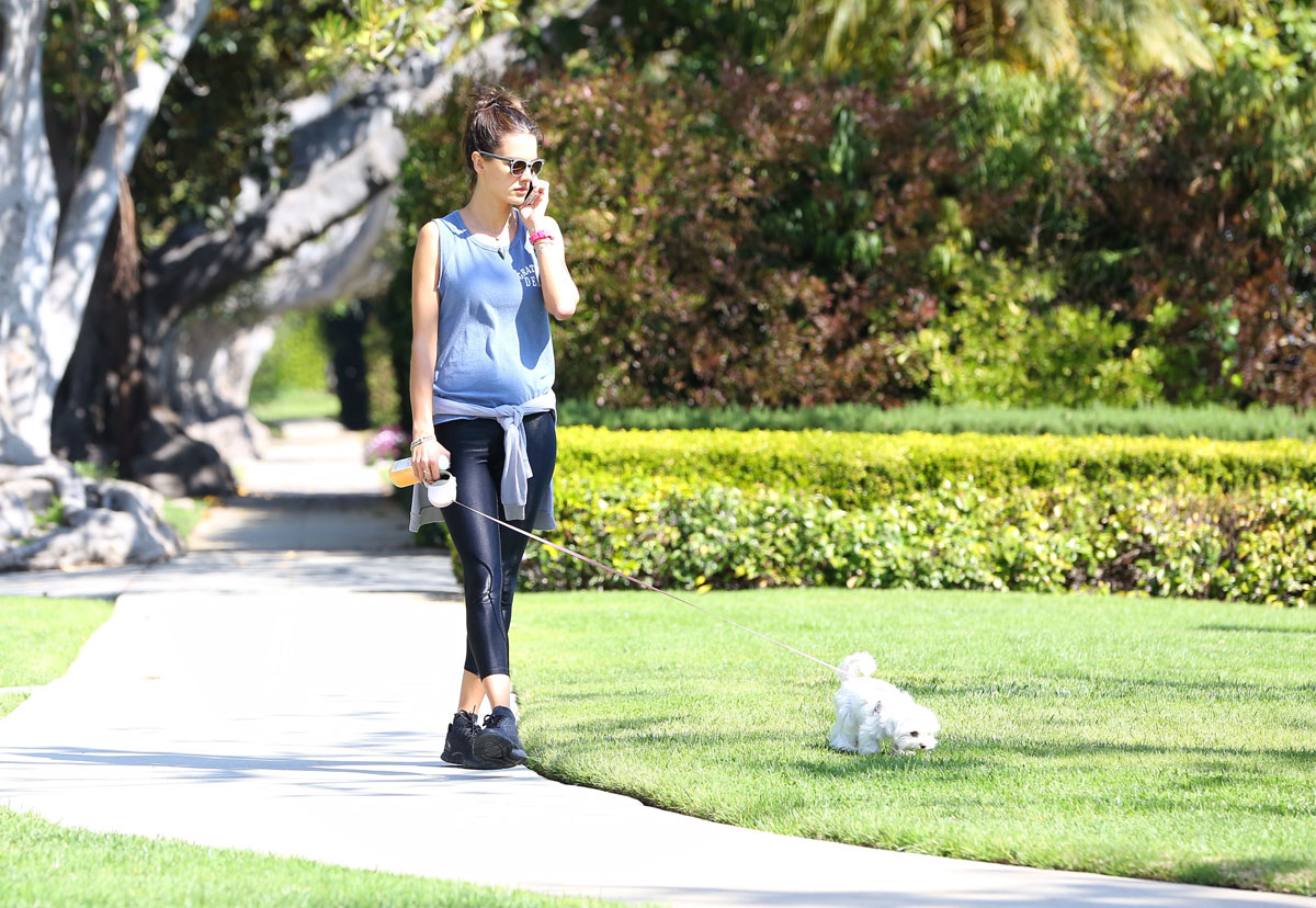 Alessandra Ambrosio walks her dog