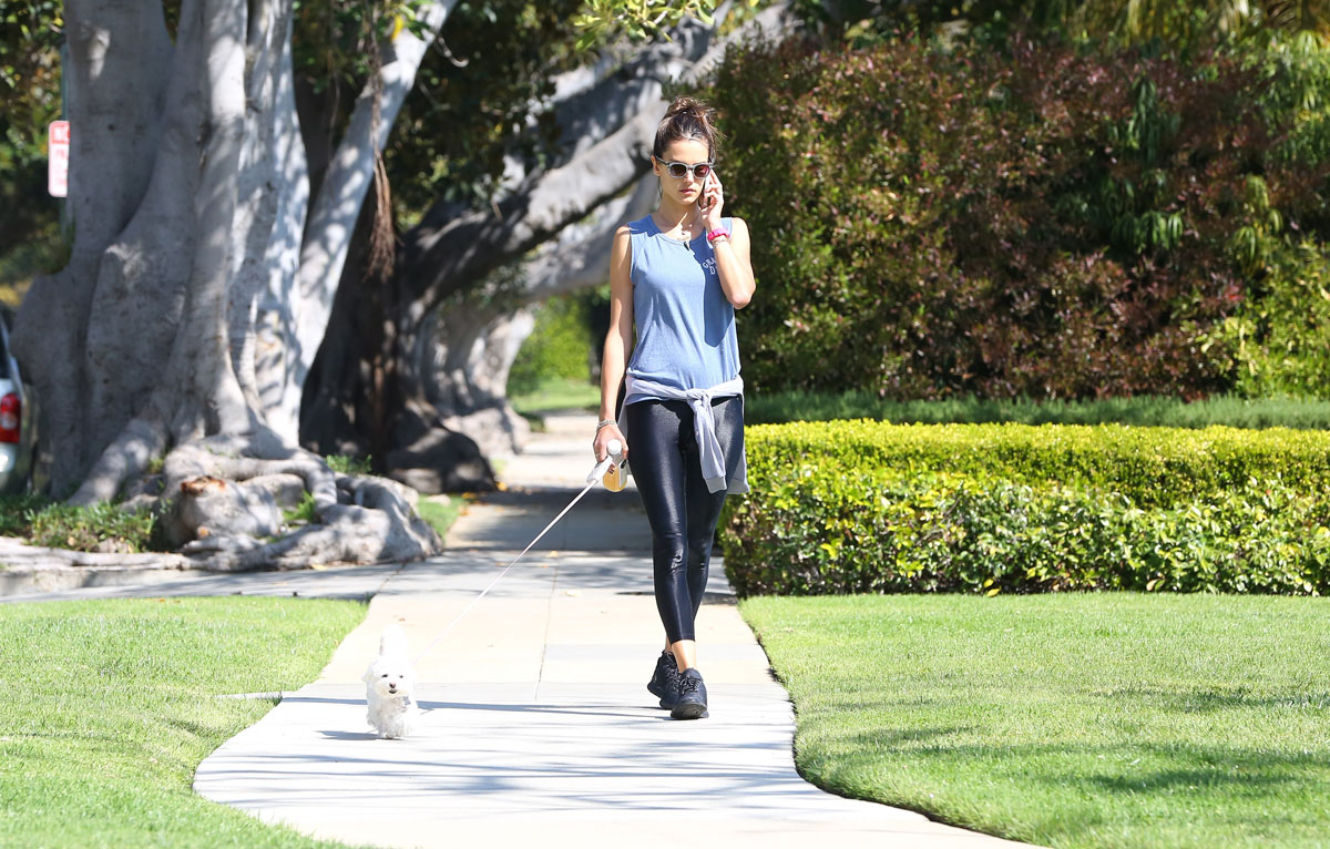 Alessandra Ambrosio walks her dog