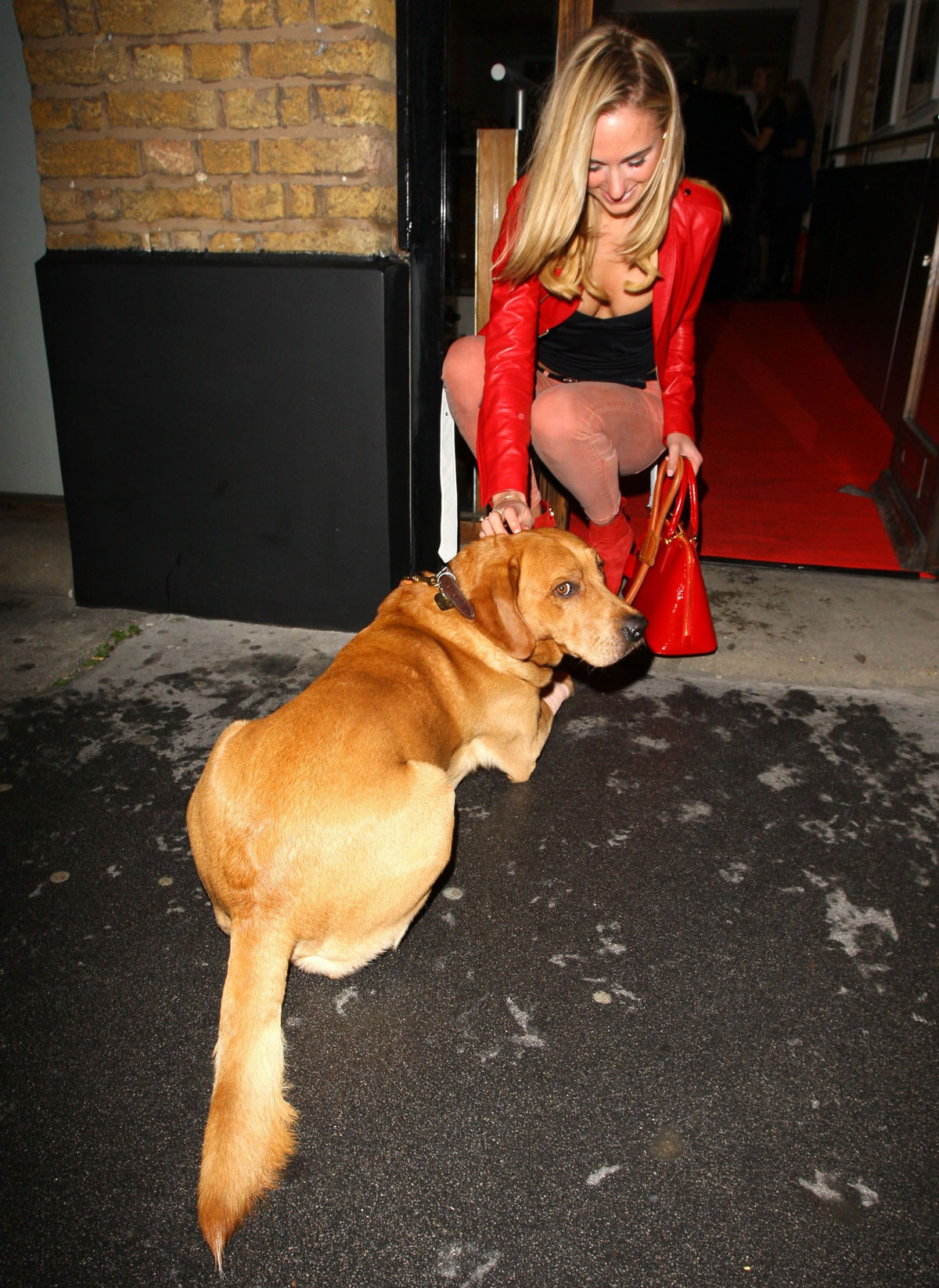 Kimberley Garner arrives at The Company of Dogs Pet Portrait Exhibition