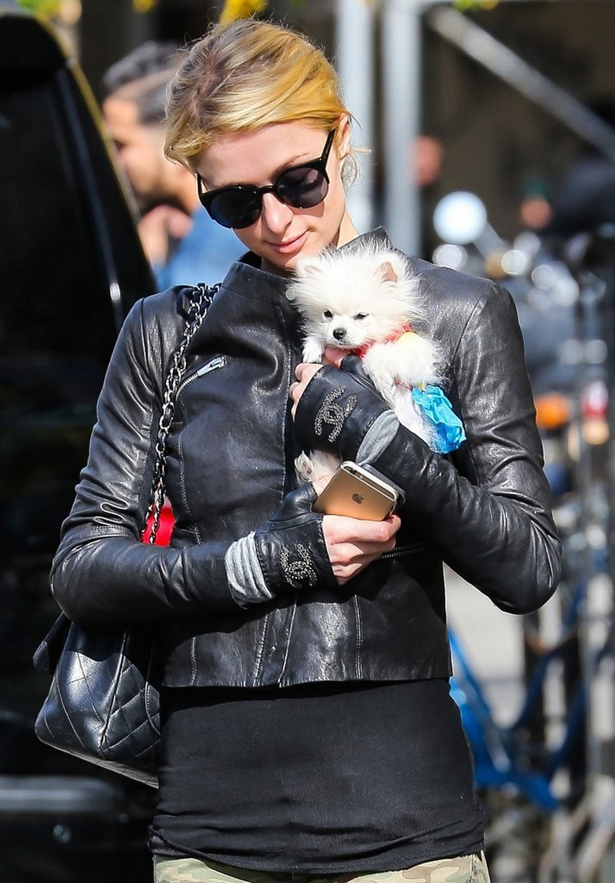 Paris Hilton seen with her dog waiting for a cab