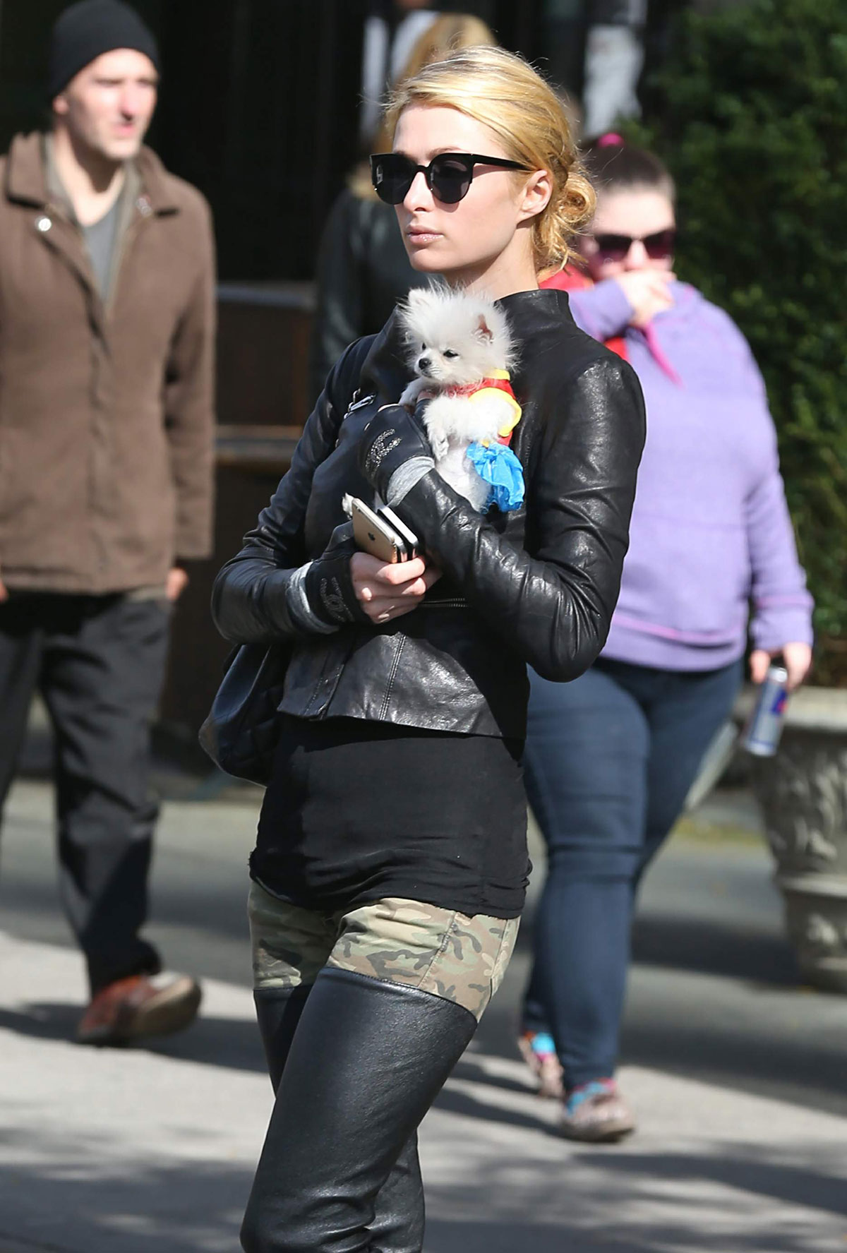 Paris Hilton seen with her dog waiting for a cab