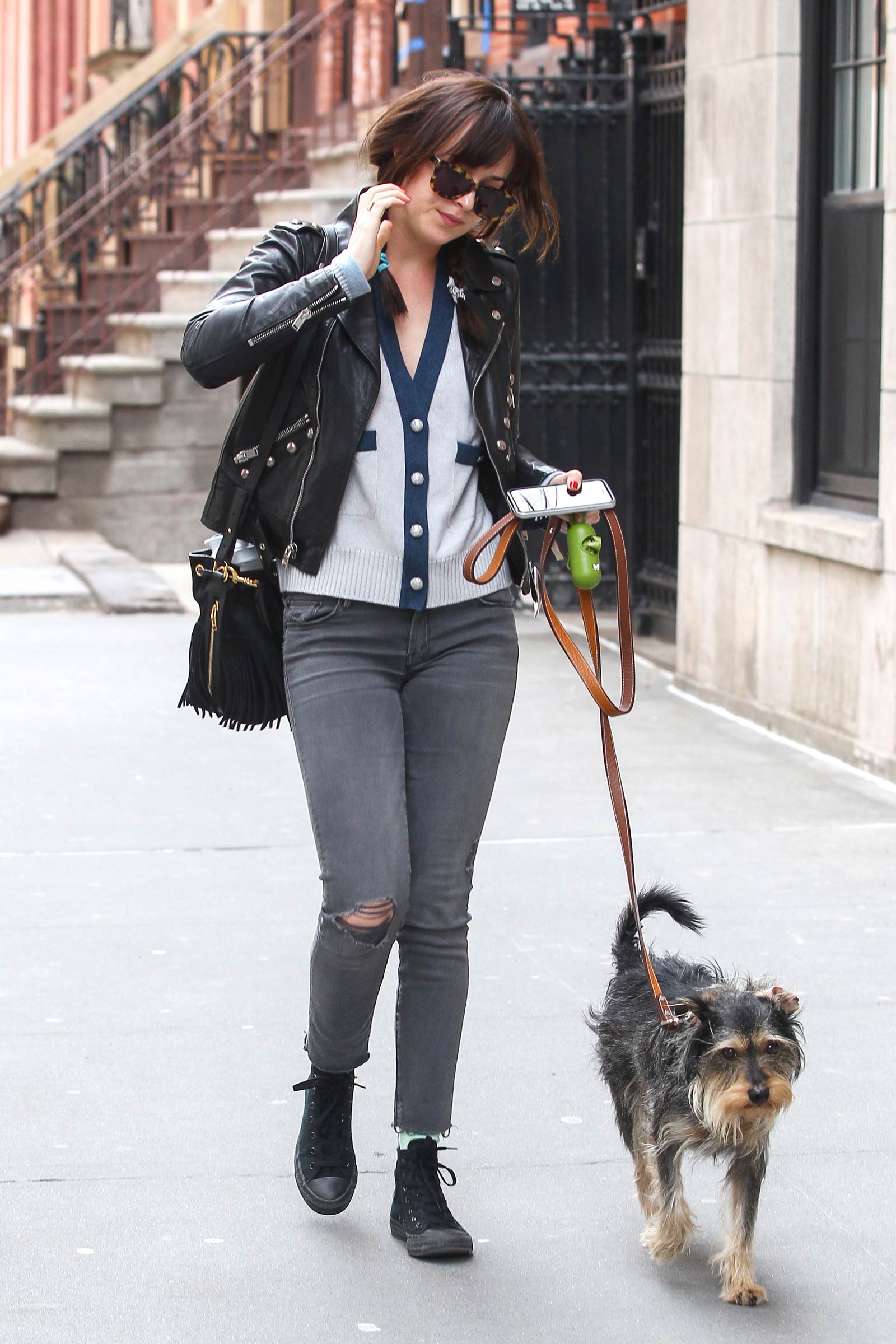 Dakota Johnson waking her dog in NYC