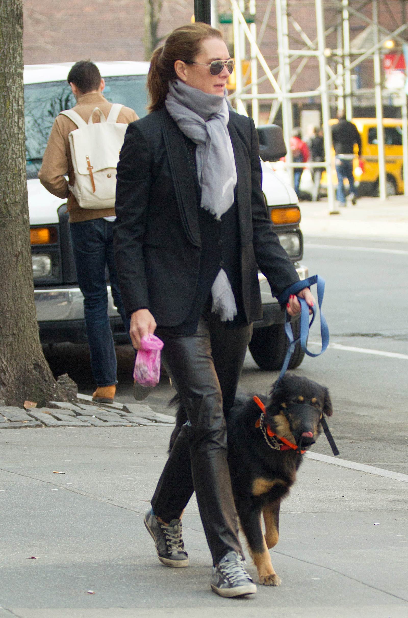 Brooke Shields taking a stroll with her pet dog