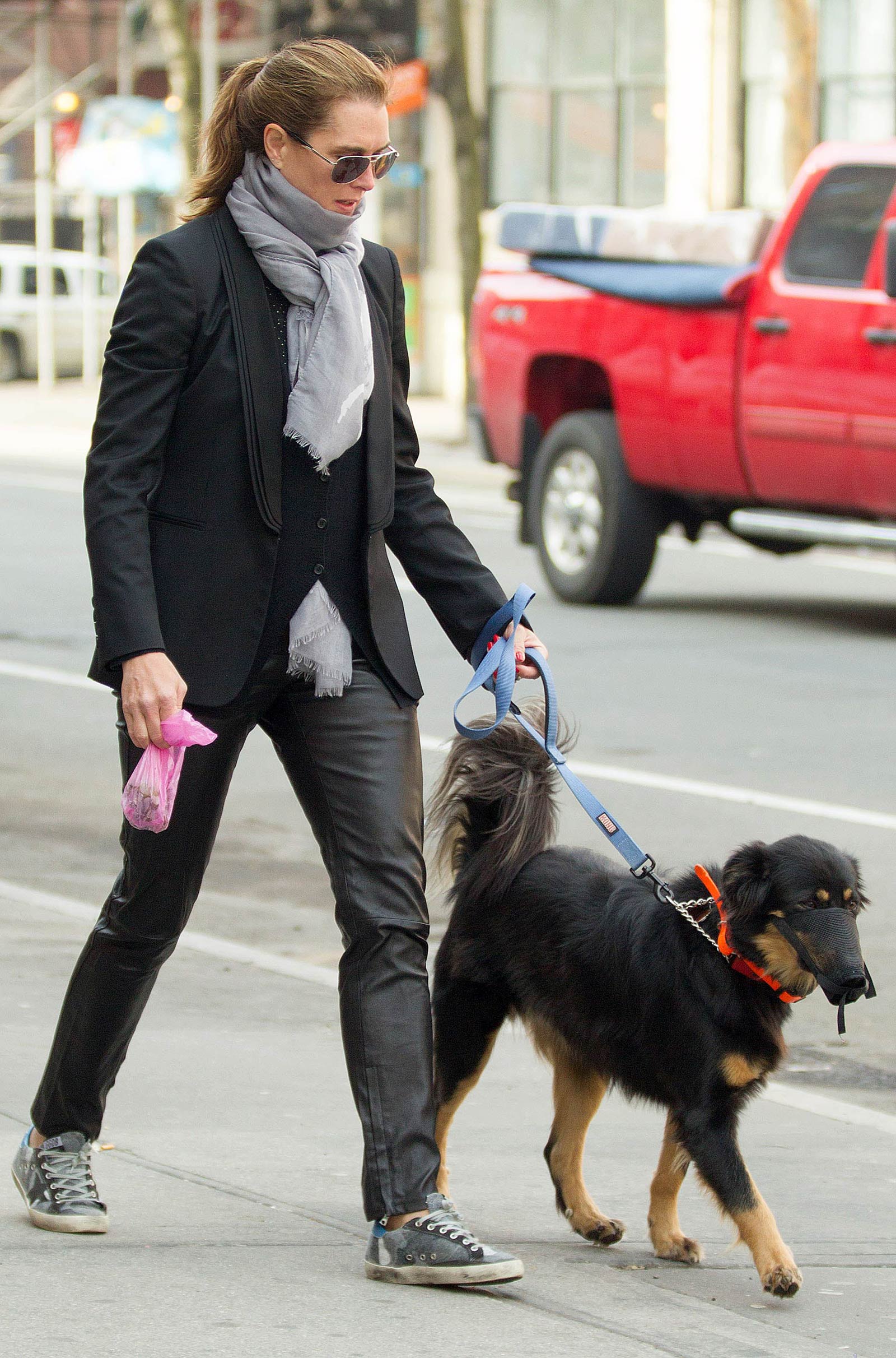 Brooke Shields taking a stroll with her pet dog