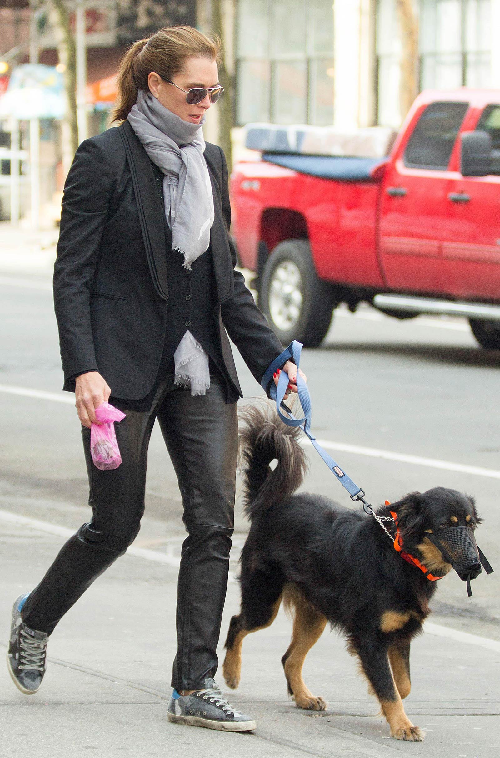 Brooke Shields taking a stroll with her pet dog