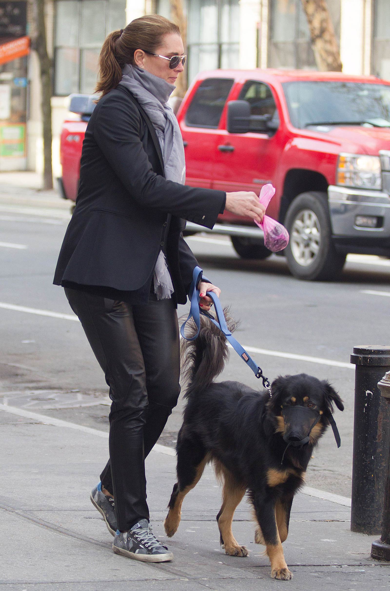 Brooke Shields taking a stroll with her pet dog