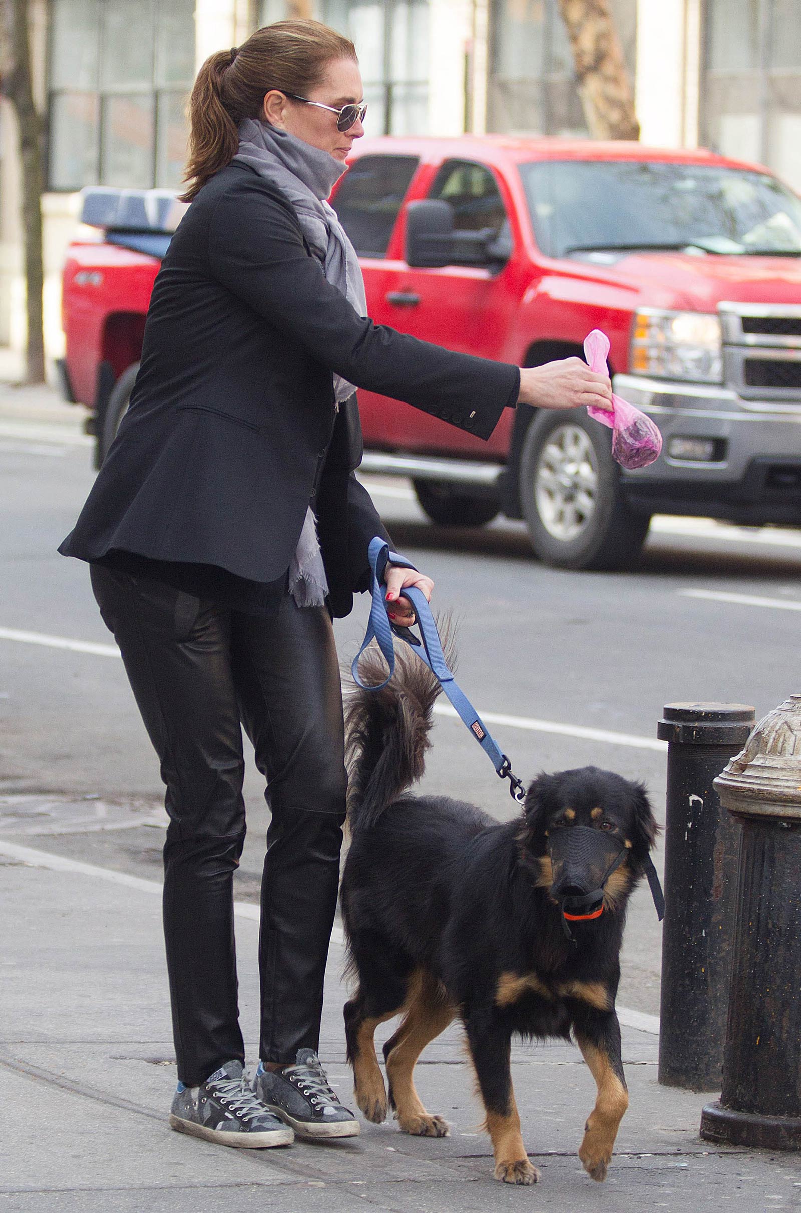 Brooke Shields taking a stroll with her pet dog