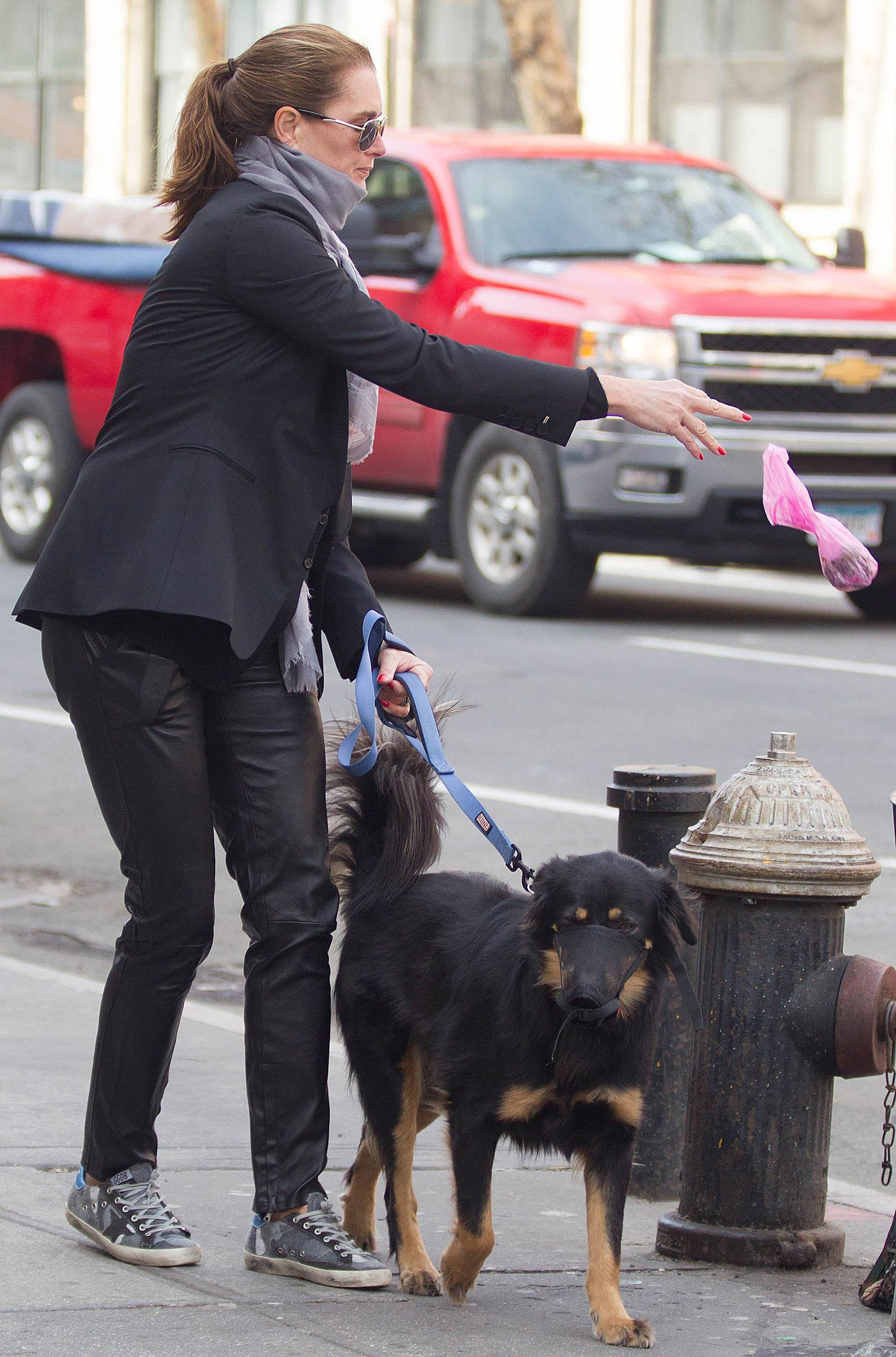 Brooke Shields taking a stroll with her pet dog