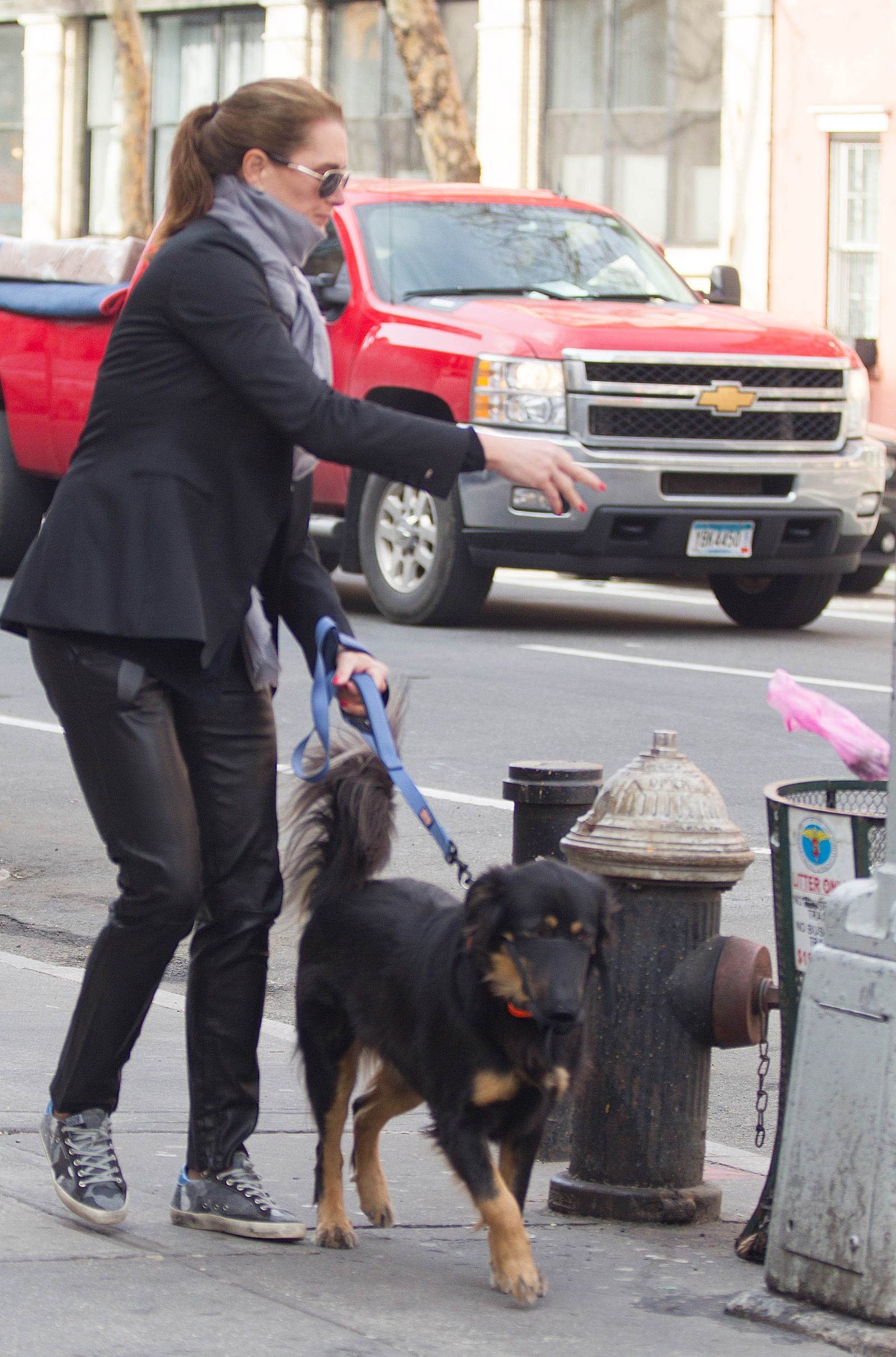 Brooke Shields taking a stroll with her pet dog