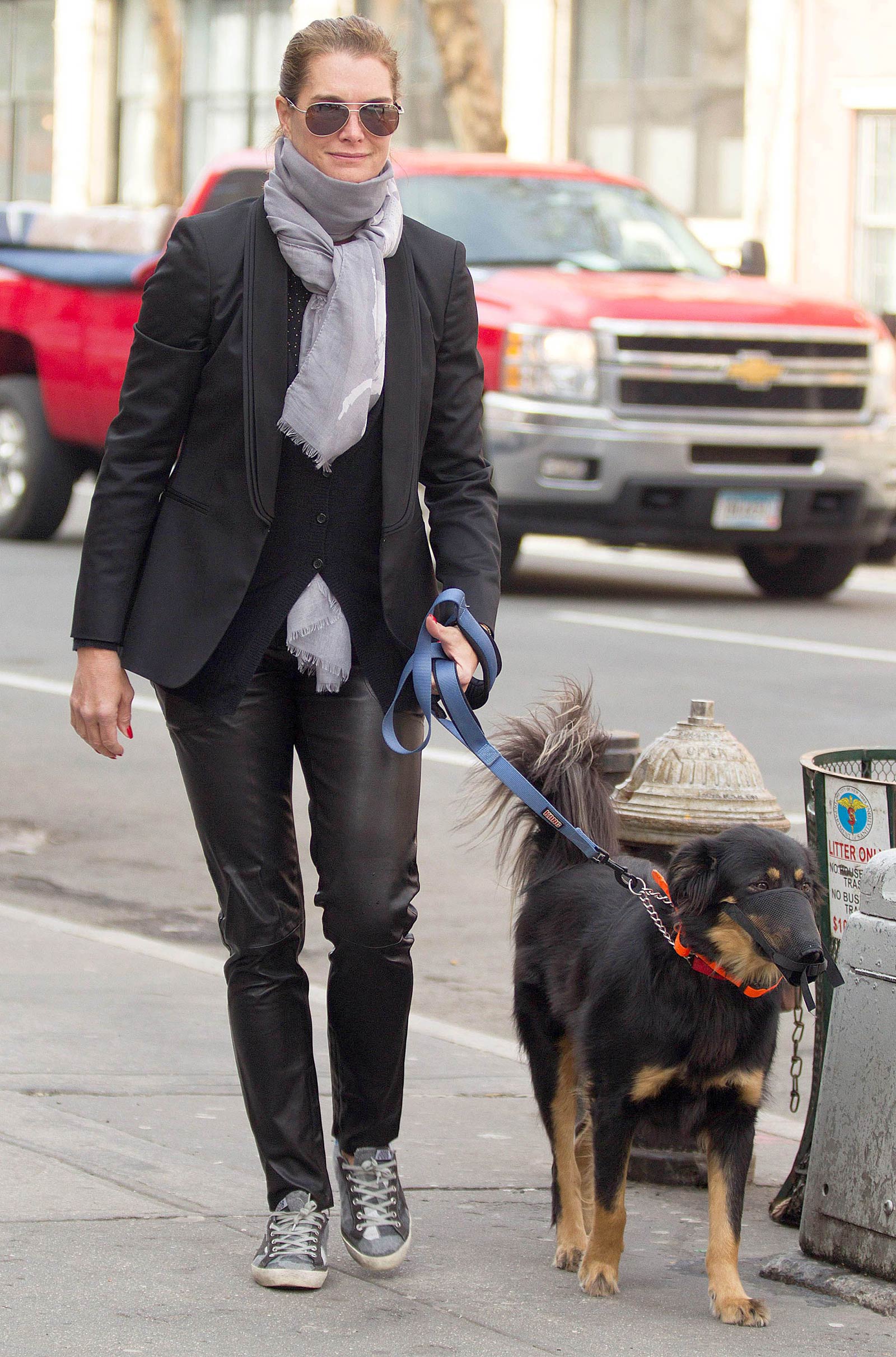 Brooke Shields taking a stroll with her pet dog