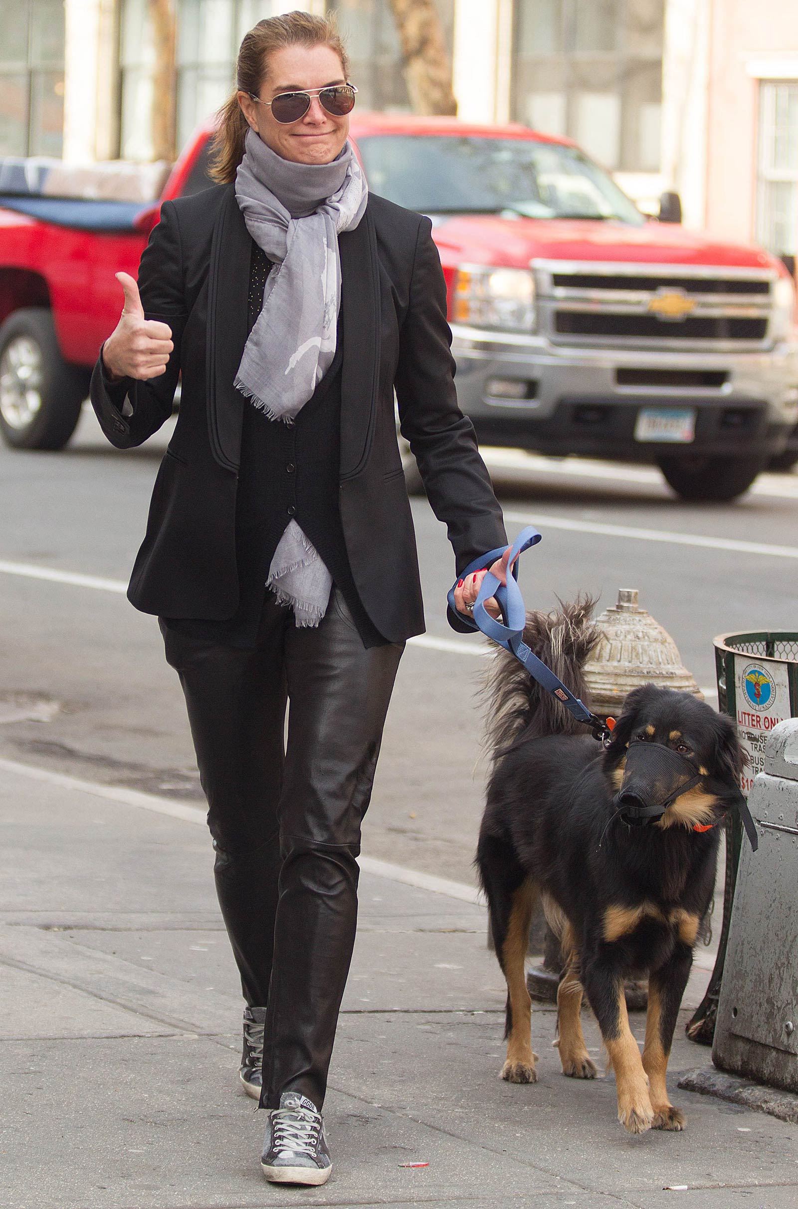 Brooke Shields taking a stroll with her pet dog