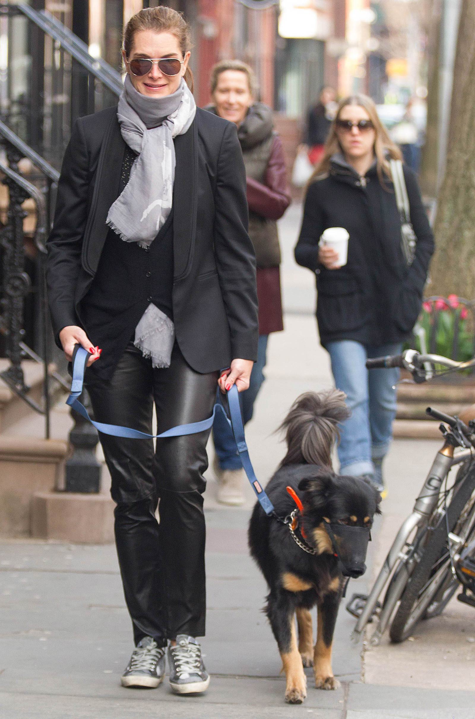 Brooke Shields taking a stroll with her pet dog