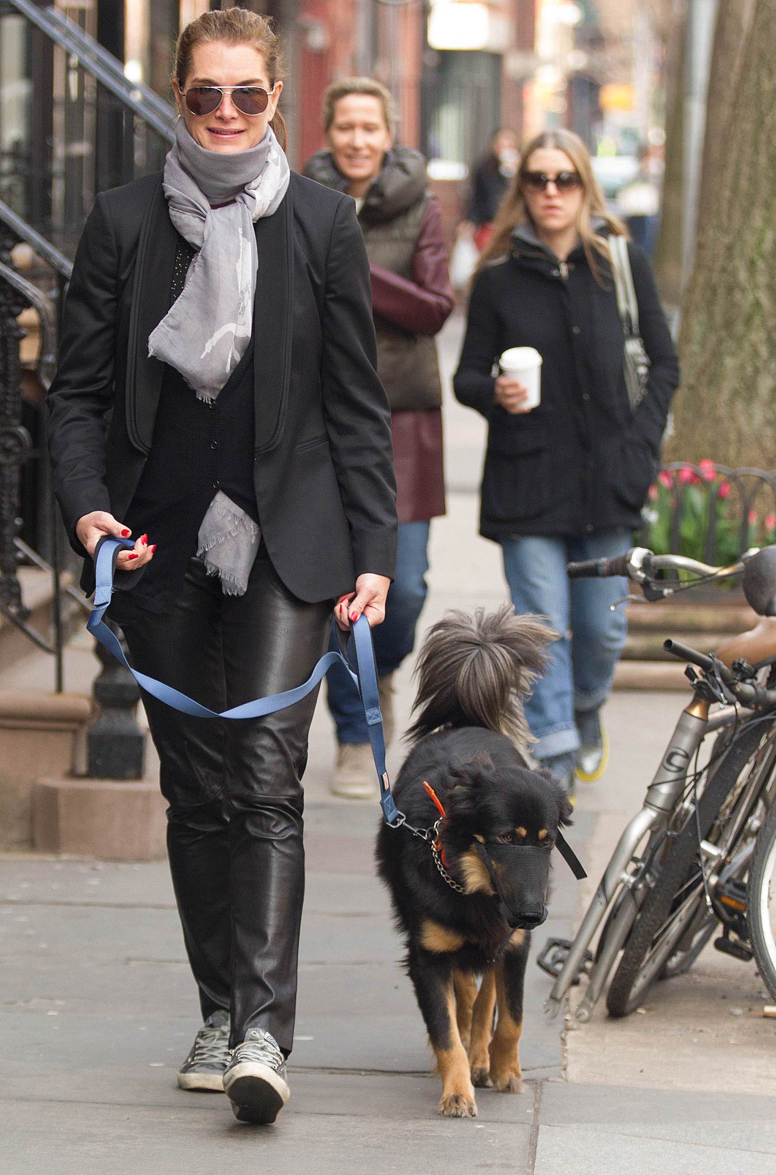 Brooke Shields taking a stroll with her pet dog