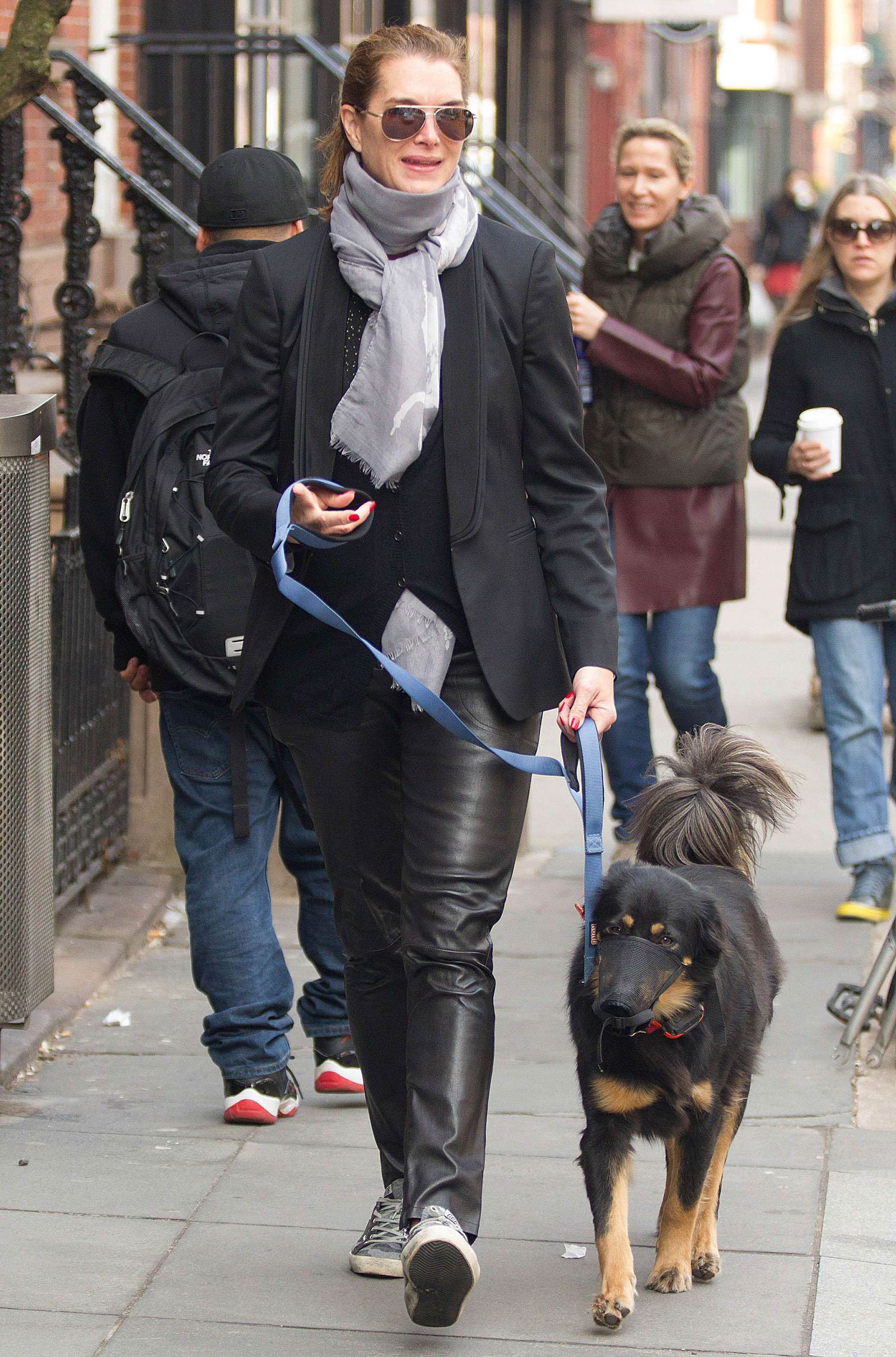 Brooke Shields taking a stroll with her pet dog
