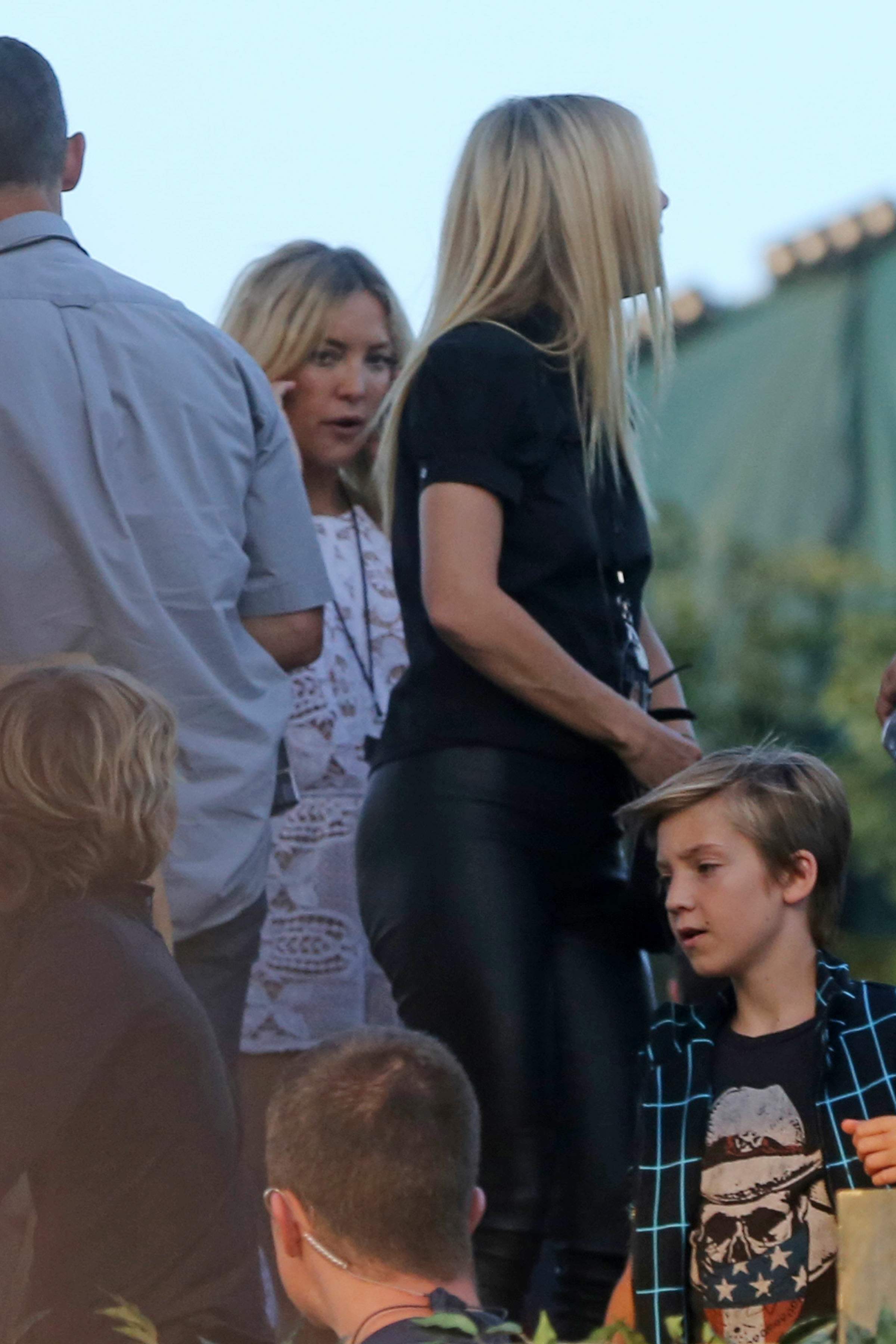 Gwyneth Paltrow at the Taylor Swift concert