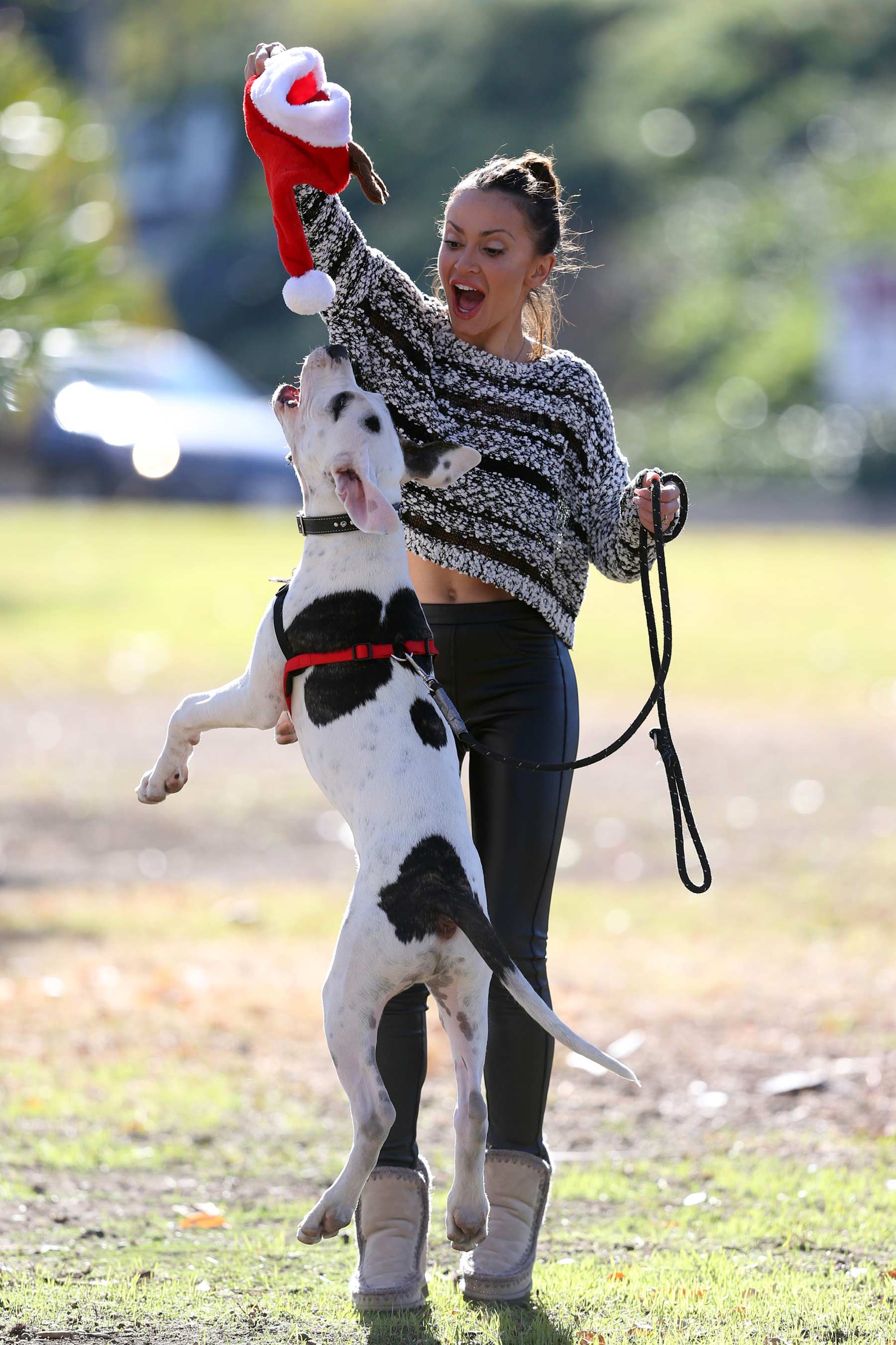 Karina Smirnoff walking her dog in Woodland Hills