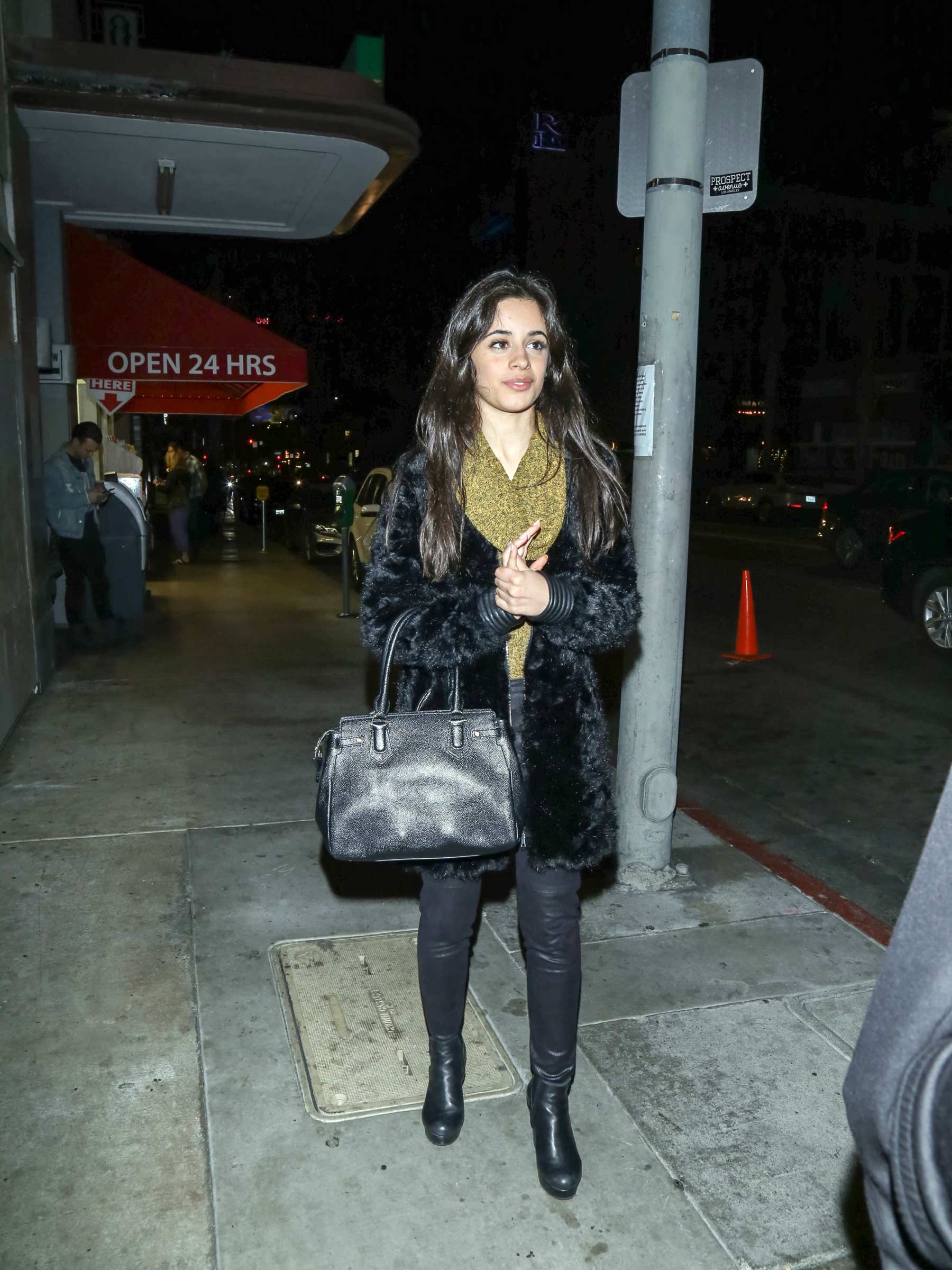 Camila Cabello out and about in LA