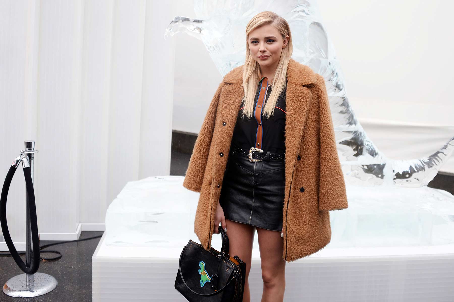 Chloe Grace Moretz attends Coach Fall 2016 Show