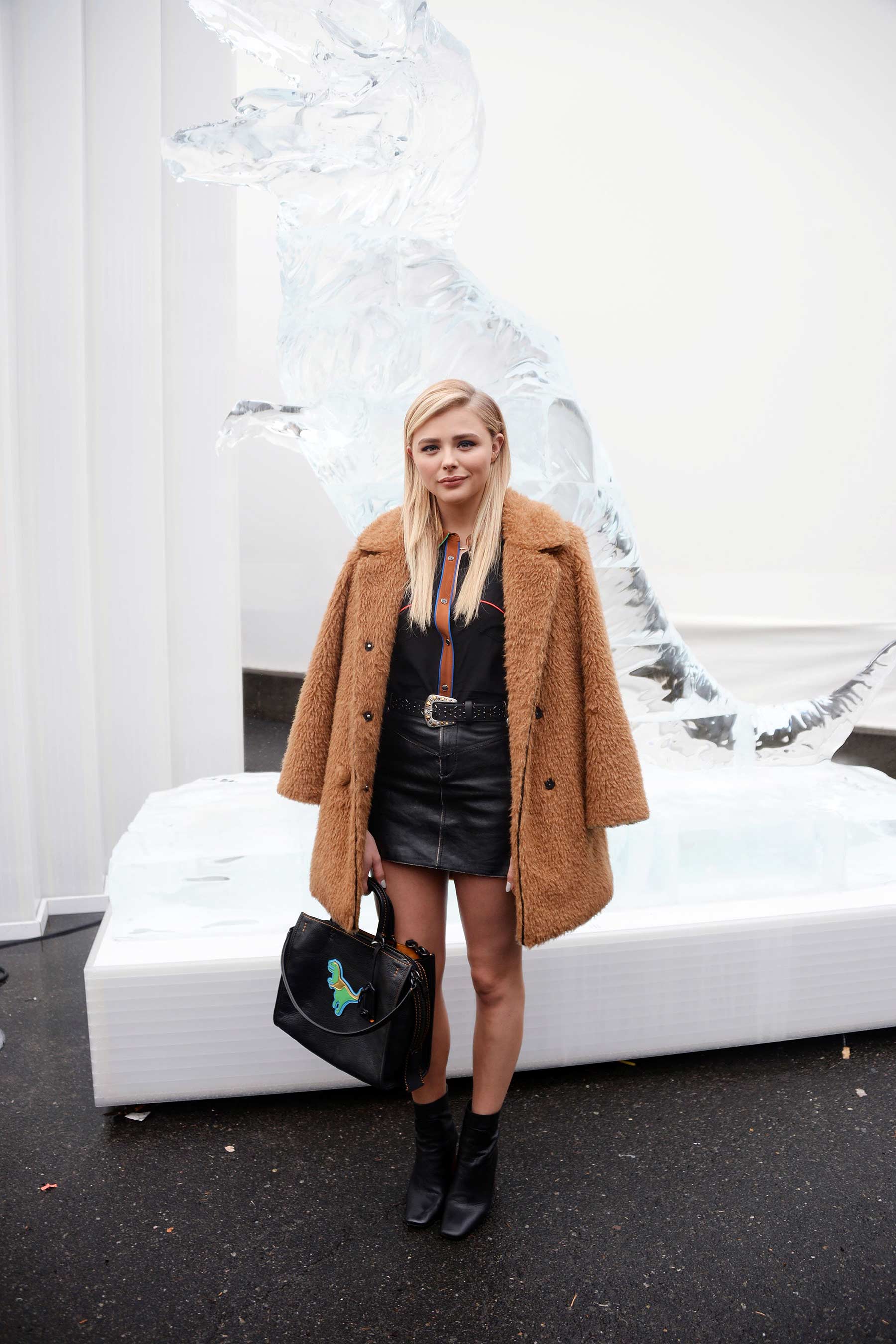 Chloe Grace Moretz attends Coach Fall 2016 Show