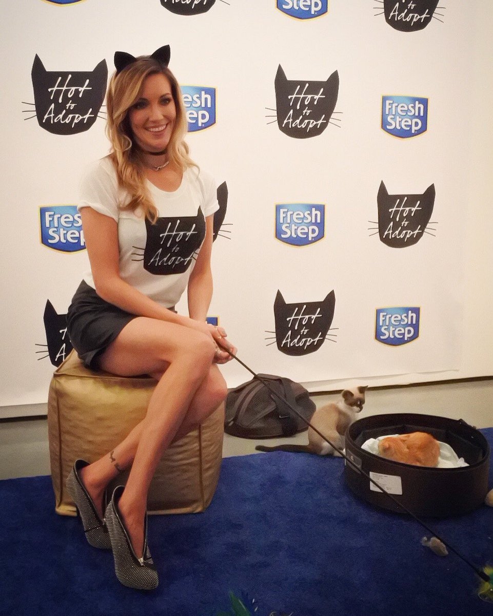 Katie Cassidy attends Hot to adopt Feline fashion lounge