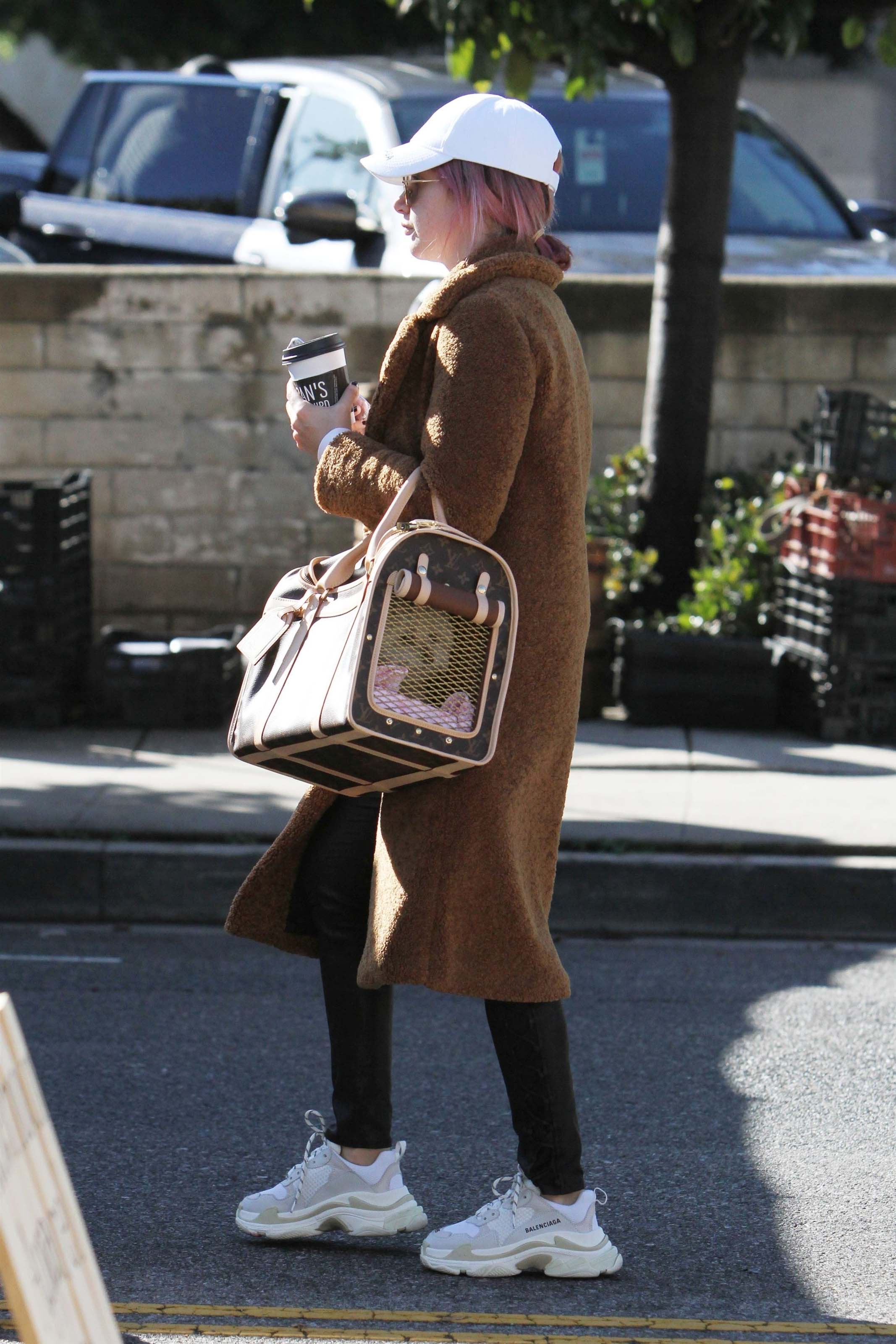 Ashley Tisdale out for shopping in Studio City