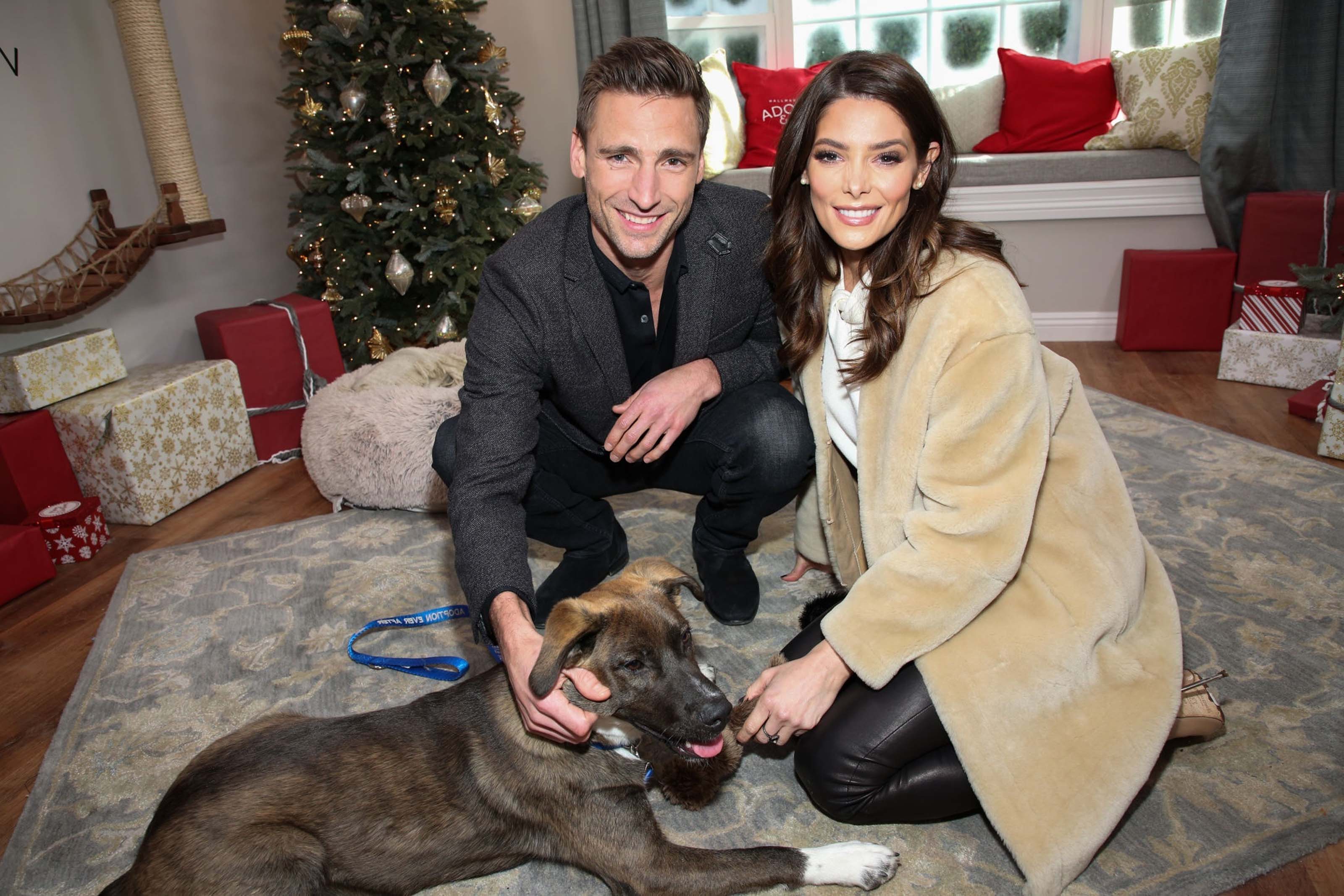 Ashley Greene attends On Hallmark Channel’s ‘Home & Family’