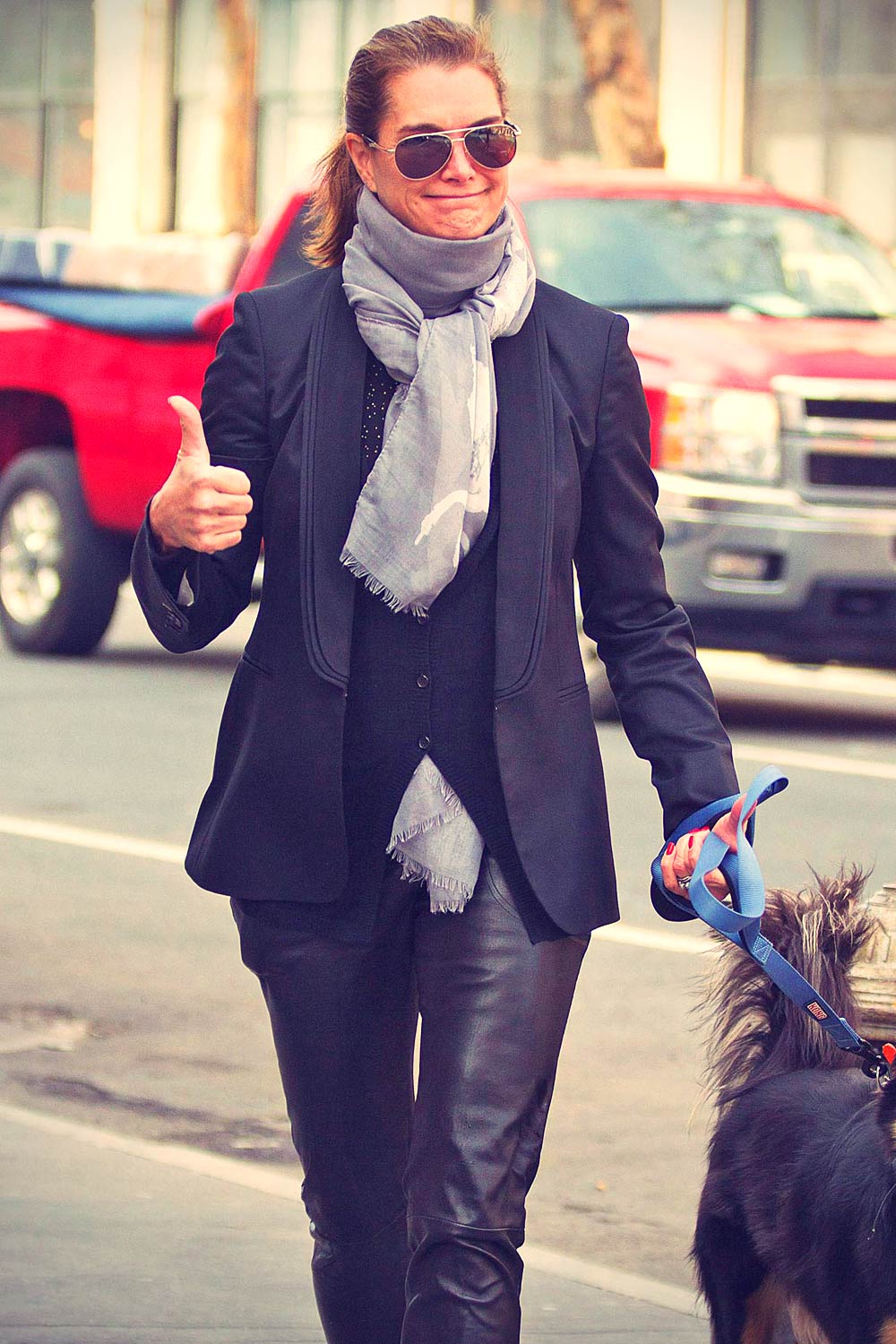 Brooke Shields taking a stroll with her pet dog