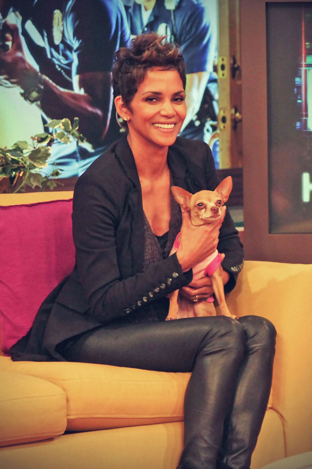 Halle Berry appears on Despierta America to promote The Call