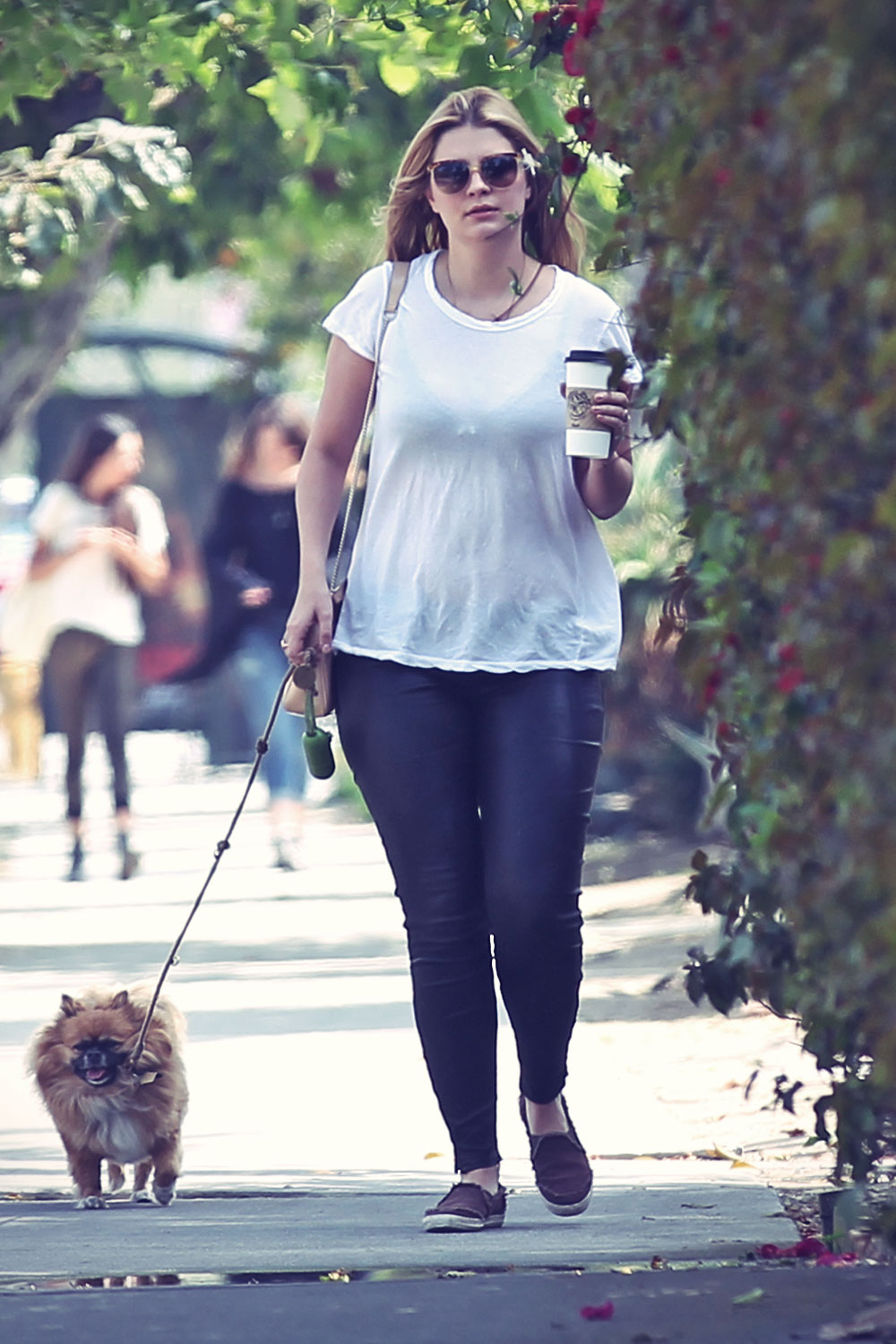 Mischa Barton strolling with her dog in Venice Beach